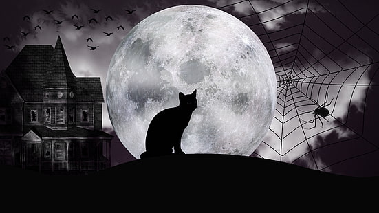 night, halloween art, creepy, haunted castle, haunted, ghost castle, spider web, spiderweb, spooky, cat, black and white, graphics, silhouette, halloween, midnight, monochrome, full moon, moonlight, darkness, moon, HD wallpaper HD wallpaper
