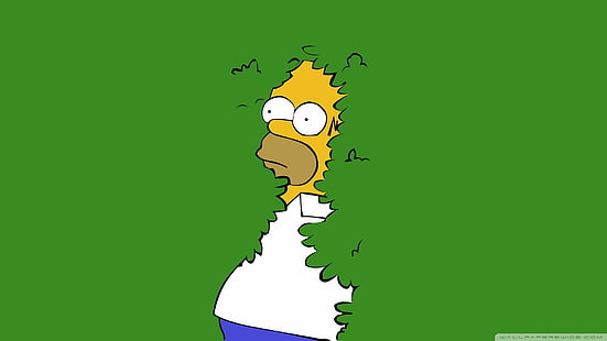 Los Simpson, Homer Simpson, Fondo de pantalla HD HD wallpaper