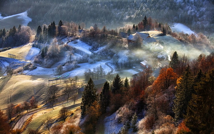 montagna con alberi che dipingono, natura, paesaggio, montagne, villaggio, alberi, caduta, neve, nebbia, Slovenia, Sfondo HD