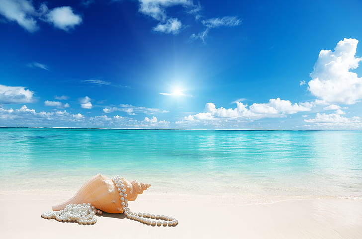 солнце, пляж, море, песок, морская ракушка, HD обои