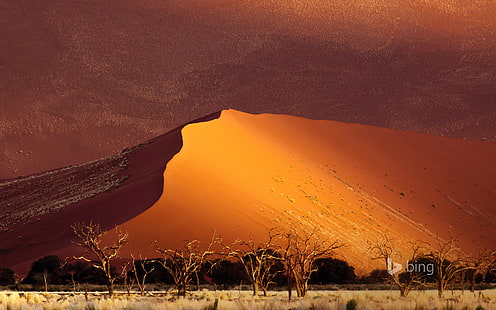 areia, árvores, deserto, dunas, África, Namíbia, Sossusvlei, HD papel de parede HD wallpaper