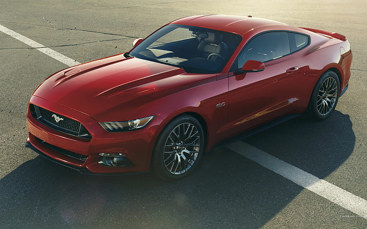 Ford Mustang HD, vermelho ford mustang, carros, ford, mustang, HD papel de parede
