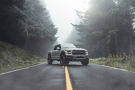 Ford, Raptor, pickup, F-150, 2019, autor: Aaron Brimhall, Tapety HD HD wallpaper