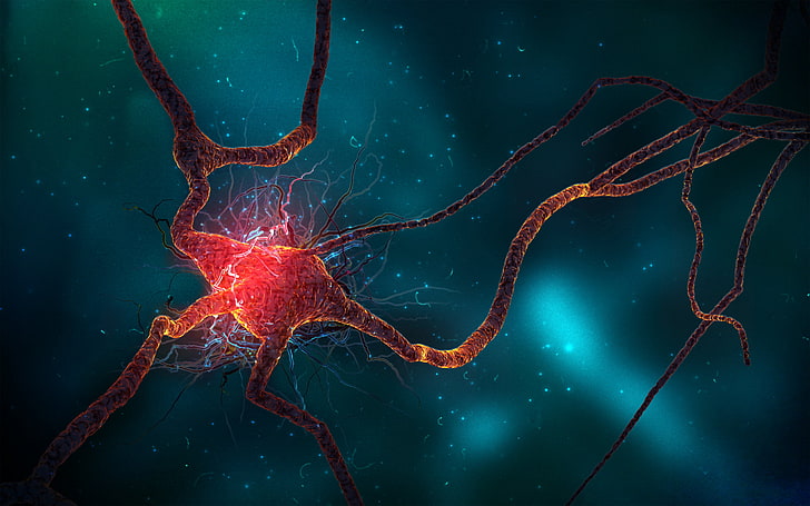 neuron, spike, train, HD wallpaper