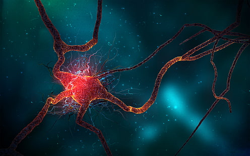 neuron, spike, train, HD wallpaper HD wallpaper