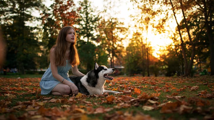 Mujeres, modelo Maxim Gustarev, al aire libre, blusa azul, pelo largo, perro, Husky siberiano, naturaleza, caída de hojas, apartar la mirada, la luz del sol, Fondo de pantalla HD