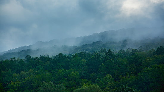 зеленое дерево, зелень, лес, облака, деревья, горы, синий, природа, грин, туман, холмы, утро, склон, холм, дымка, Украина, гора, туманный, HD обои HD wallpaper