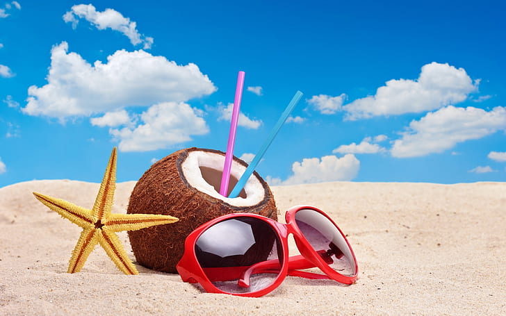 화려한 여름 액세서리, 갈색 코코넛 열매, 사진, 배경, 하늘, 파랑, coktail, HD 배경 화면