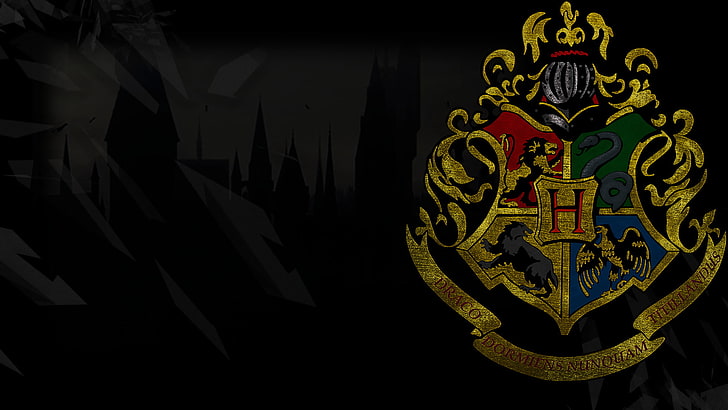 Harry Potter, Gryffindor, Hufflepuff, Ravenclaw, Slytherin, HD masaüstü duvar kağıdı