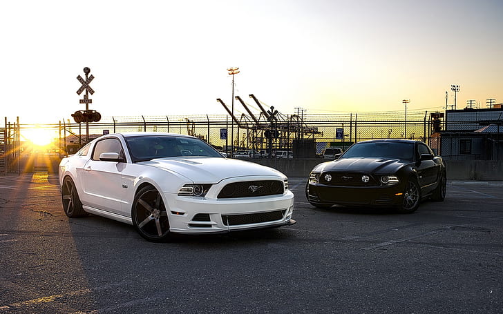 Ford Mustang black and white cars, Ford, Mustang, Black, White, Cars, HD wallpaper