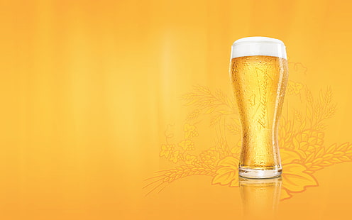 klares Pilsnerglas, Schaum, Bier, Glas, Budweiser, HD-Hintergrundbild HD wallpaper