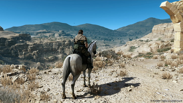 Metal Gear Solid V: The Phantom Pain, looking into the distance, Metal Gear Solid, HD wallpaper