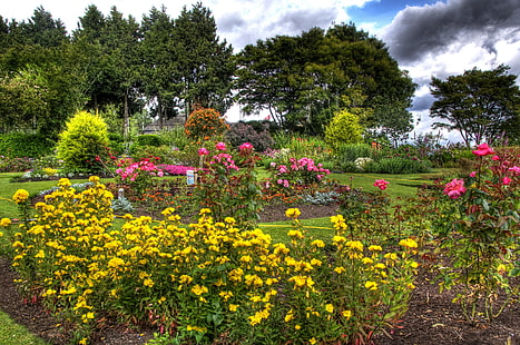 jardin fleuri jaune et rose, fleurs, arbres, jardin, jaune, roses, Fond d'écran HD HD wallpaper