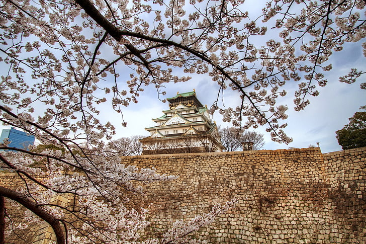 Замки, Замок в Осаке, Вишни в цвету, Япония, Осака, Сакура, Весна, HD обои