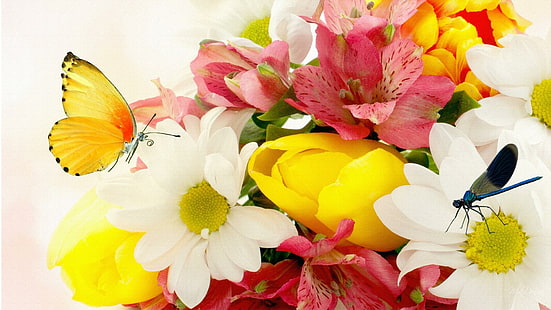 Joyous Spring, Firefox Persona, hell, Schmetterling, Tulpen, Lilien, Blumen, Frühling, bunt, Libelle, Sommer, 3d, HD-Hintergrundbild HD wallpaper