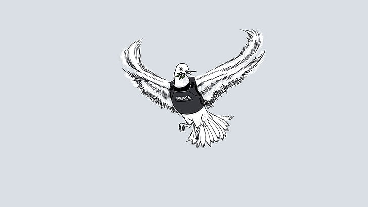 white and black bird illustration, minimalism, peace, war, HD wallpaper