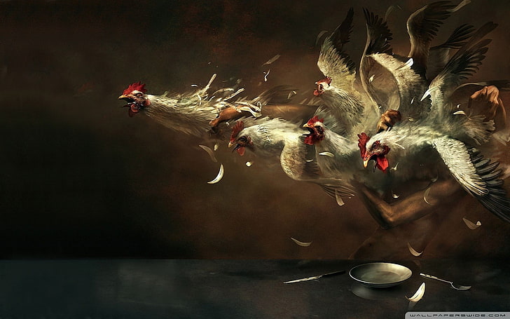 six poulets blancs, peinture, œuvres d'art, oiseaux, poulets, vol, plumes, assiettes, couteau, art numérique, Fond d'écran HD