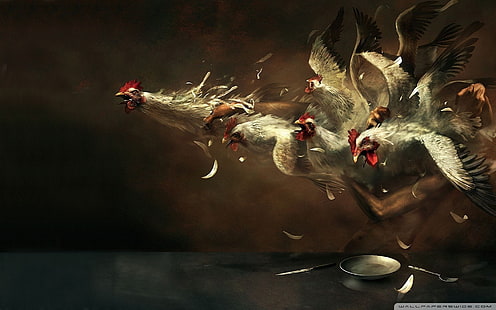 sechs weiße Hühner, Malerei, Kunstwerk, Vögel, Hühner, Fliegen, Federn, Teller, Messer, digitale Kunst, HD-Hintergrundbild HD wallpaper