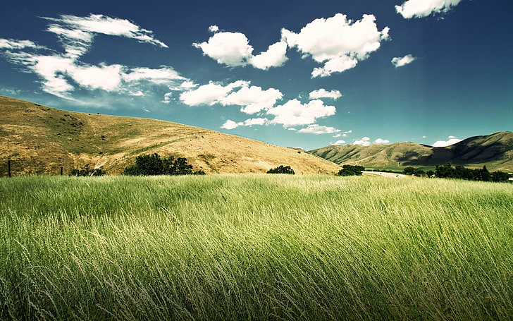 grünes und weißes Blumentextil, Landschaft, Wolken, Natur, Feld, HD-Hintergrundbild