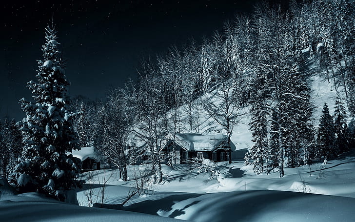 rumah kayu putih dan coklat, gelap, pondok, alam, salju, pohon, Wallpaper HD