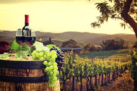 Food, Wine, Barrel, Glass, Grapes, Vineyard, HD wallpaper HD wallpaper