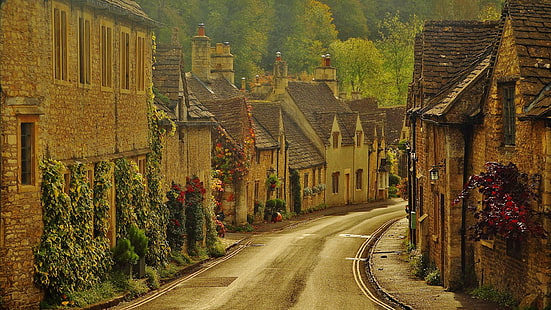 town, road, tree, village, house, street, rural area, united kingdom, landscape, england, bibury, HD wallpaper HD wallpaper