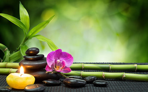 black massage stones, pink orchid and green lucky bamboo, bamboo, bokeh, candles, heart, mood, orchids, stones, towels, HD wallpaper HD wallpaper