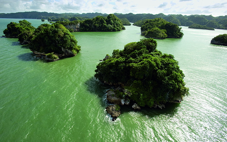 isole verdi, verdi, acqua, isole, essiccazione, terraferma, Sfondo HD