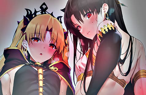 anime, anime girls, Serie Fate, Fate / Grand Order, Ereshkigal (Fate / Grand Order), Ishtar (Fate Grand Order), Sfondo HD HD wallpaper