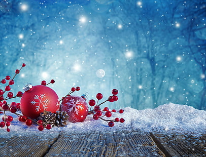 Festività, Natale, bacche, ornamenti natalizi, pigna, rosso, neve, nevicate, Sfondo HD HD wallpaper