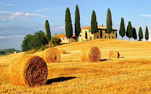 brown haystack, hay, bales, agriculture, field, trees, houses, HD wallpaper HD wallpaper