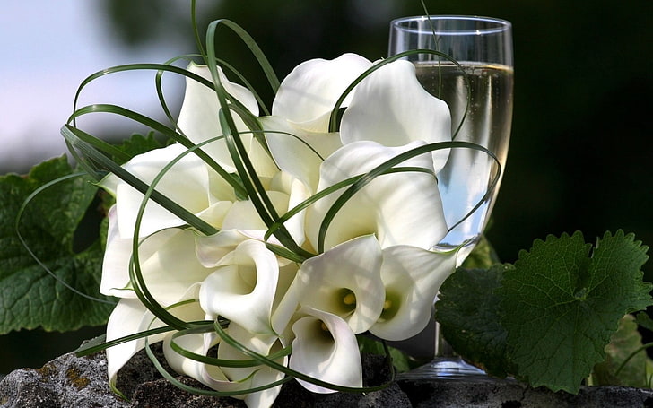 bouquet de lis blanc de paix, lis calla, fleurs, bouquet, décoration, feuilles, verre, pierre, Fond d'écran HD