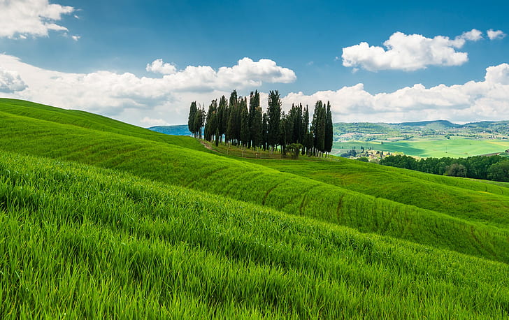 Italien, Toscana, kullar, Italien, träd, berg, gräs, kullar, Toscana, HD tapet