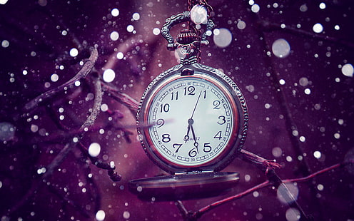 runde graue Taschenuhr, Uhrwerk, Uhren, Taschenuhren, Zeit, lila, Zweig, Bokeh, HD-Hintergrundbild HD wallpaper