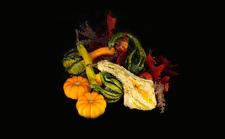 Fall Gourds, assorted vegetables illustration, Seasons, Autumn, photography, gourds, fall, fruits, black background, contrast, HD wallpaper