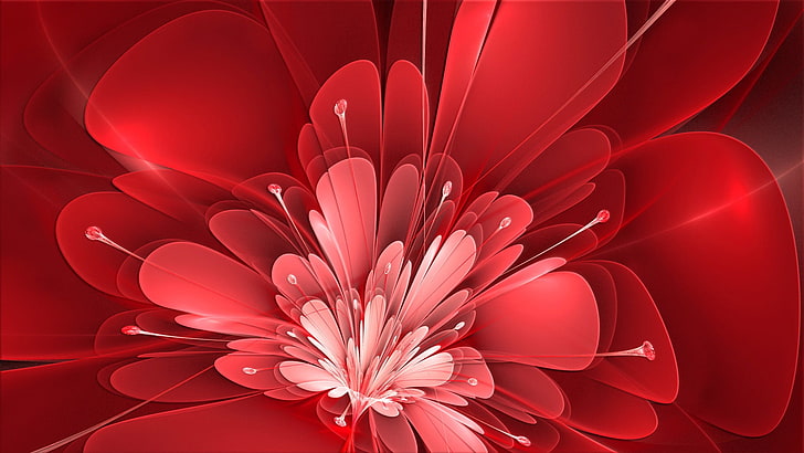 крупным планом фото красного лепесткового цветка, цветы, красные, HD обои