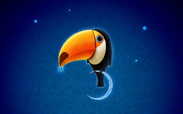Toucan Bird, toucan, bird, HD wallpaper
