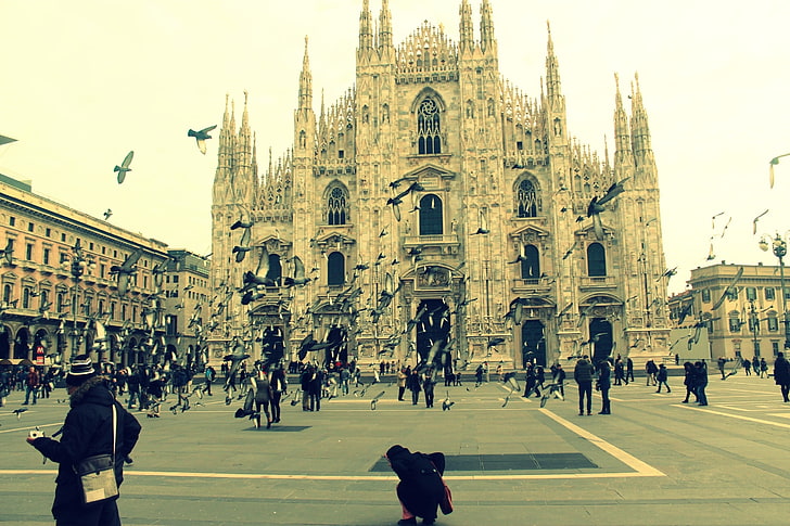 灰色の大聖堂、イタリア、ミラノ、大聖堂、鳥、人々、 HDデスクトップの壁紙