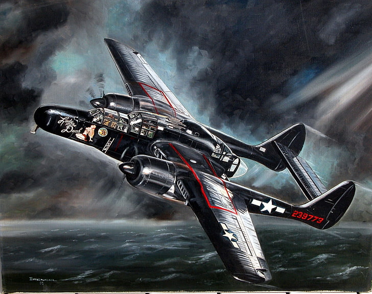 Military Aircrafts, Northrop P-61 Black Widow, HD wallpaper