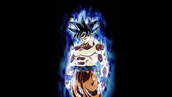 Son Goku, Dragon Ball, Super Dragon Ball, Ultra-Instinkt-Goku, HD-Hintergrundbild HD wallpaper