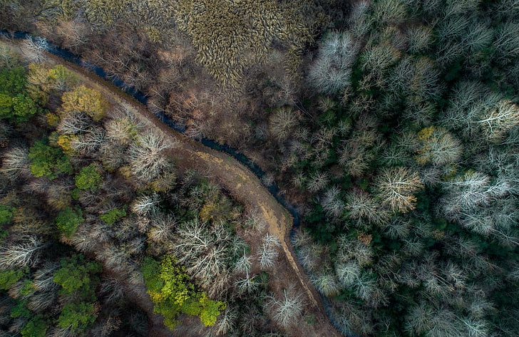 naturaleza, árboles, agua, río, vista aérea, Fondo de pantalla HD