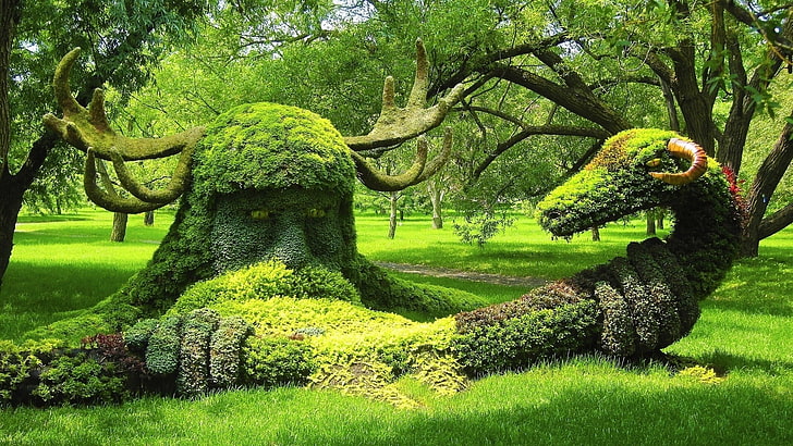 erba verde, creatività, natura, scultura, muschio, alberi, Sfondo HD