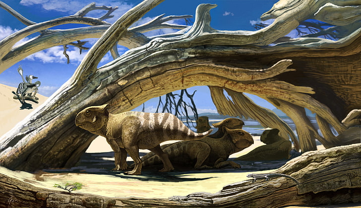 desert, small, Protoceratops, dinosaurs, HD wallpaper