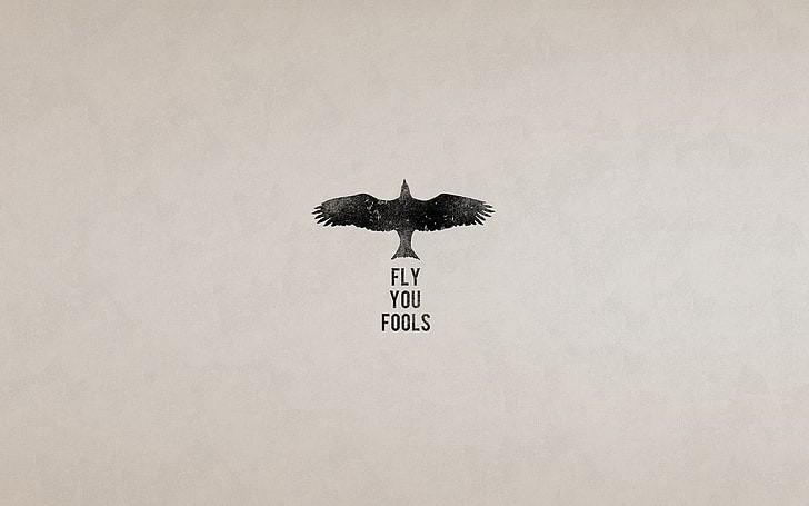 Poster Fly You Fools, abu-abu, burung, minimalis, The Lord of the Rings, mengutip, Wallpaper HD