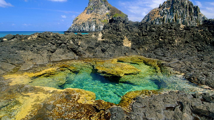 Piscina di marea In Pernambuco Brasile, spiaggia, rocce, piscina, maree, natura e paesaggi, Sfondo HD