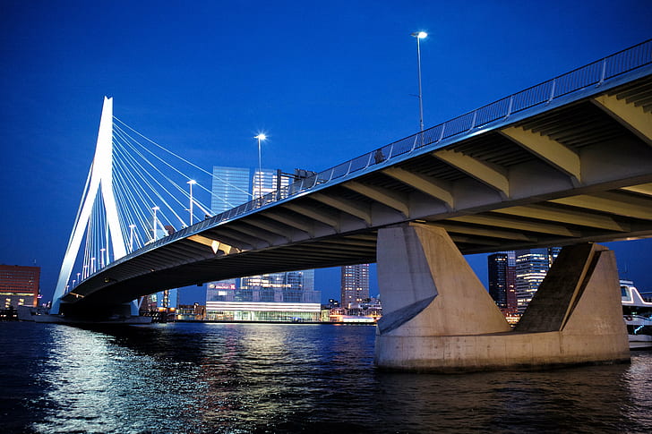 suspension bridge on body of water during nighttime, Erasmusbrug, suspension bridge, body of water, nighttime, architect, architecture, art  bridge, cable-stayed, city-lights, cityscape, Europe, f/2, Holland, Leica, long-exposure, monument, Netherlands, nieuwe maas, night, reflection, river, rotterdam, sculpture, shine, sky, skyline, sparkling, structure, summer, summicron, swan, travel, Tripod, van Berkel, bridge - Man Made Structure, famous Place, urban Scene, uSA, HD wallpaper