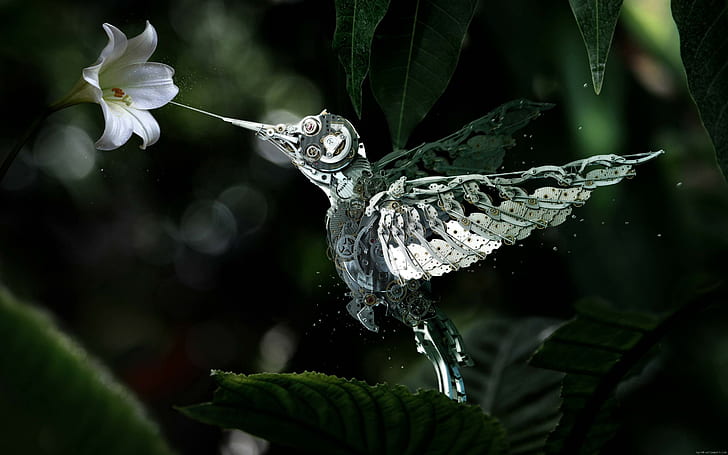 Hummingbird mekanik, ilustrasi burung perak, burung kolibri, hewan, burung, gambar, bunga, Wallpaper HD
