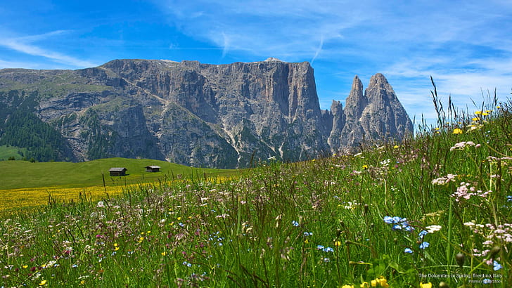 Доломитовые Альпы весной, Трентино, Италия, Весна / Лето, HD обои