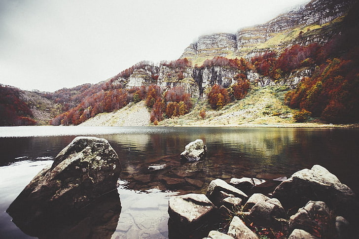 Fotografie von Steinen auf Gewässer, Herbst, Landschaft, Bäume, Felsen, Wasser, HD-Hintergrundbild