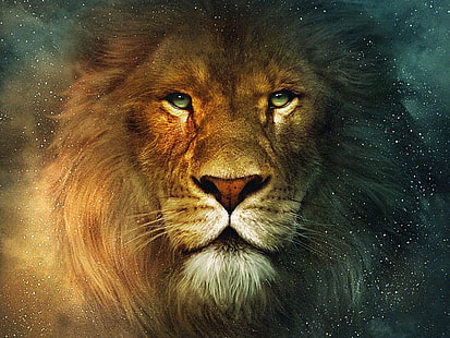 chat animal Lion Animaux Bears HD Art, animal, chat, lion, crinière, Fond d'écran HD HD wallpaper